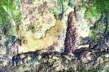 N 069D